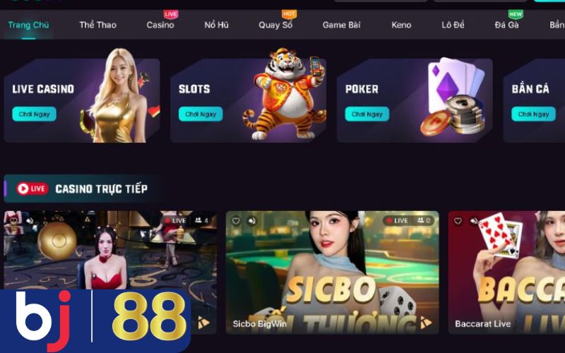 Câu hỏi thường gặp về nhà cái bj88 đá gà